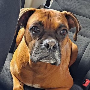 Meet your Posher, Lana